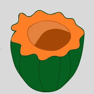 Acorn squash cut into half cartoon illustration useful for projects lifesty.. Illustrazione stock