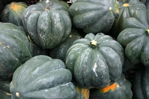 Acorn Squash Stock Photos