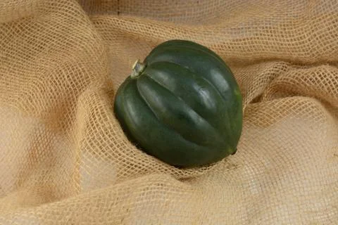Acorn squash Stock Photos