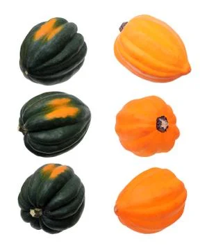 An acorn squash with three different views Stock Photos