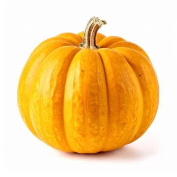 Acorn Squashes on Isolated White Background  Small Golden Stock Photos