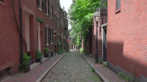 Acorn Street Stock Footage 134838992