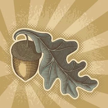 Acorn on sunbeam Stock Illustration