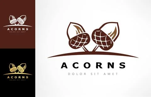 Acorn  vector. Oak tree logo. Stock Illustration