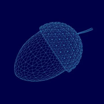 Acorn wireframe isolated vector illustration on blue background. Oak tree fruit. Stock Illustration