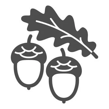 Acorns and oak leaf solid icon, forest tree concept, oak twig with acorns vector Stock Illustration