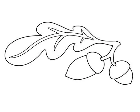 Acorns and oak leaf - vector linear illustration for coloring. An autumn oak Stock Illustration