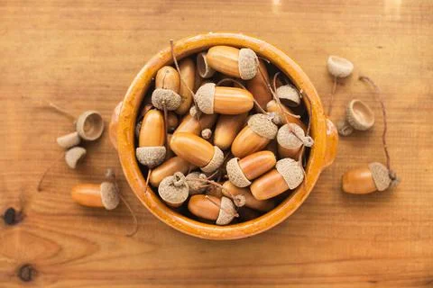 Acorns in a clay bowl on a wooden table in a top view Stock Photos