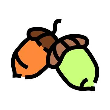 Acorns falling from oak tree during autumn season Stock Illustration