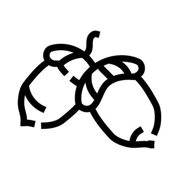 Acorns falling from oak tree symbolizing potential growth Stock Illustration