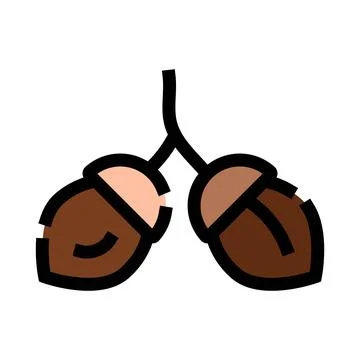 Acorns hanging from a twig illustration 스톡 일러스트