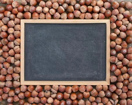 Acorns Stock Photos