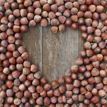 Acorns Stock Photos