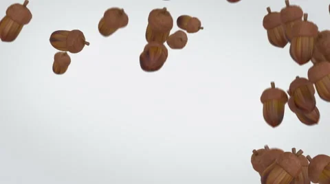 Acorns piling up, filling up the screen. Stock Footage 57814228