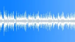 Acoustic 40 seconds Loop Stock Music