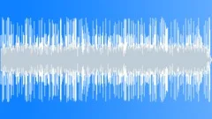 Acoustic Blues Boogie Stock Music
