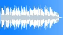 Acoustic Bouncy Americana Rock 15 SecStock Music