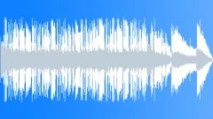 Acoustic Bouncy Americana Rock 30 SecStock Music