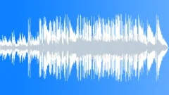 Acoustic Bouncy Americana Rock 60 SecStock Music