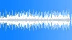 Acoustic Corporate Music for Exquisite Streamed Television Wildlife Shows Stock Music