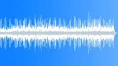 Acoustic Corporate Music for Thorough Live Online Product Demo Videos Stock Music