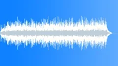 Acoustic Country Saloon Band Stock Music