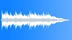 Acoustic Dark Stinger Stock Music