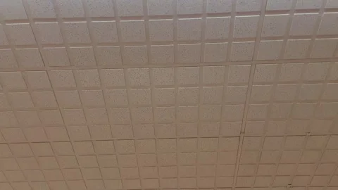 Acoustic Drop Ceiling Tiles with Fluorescent Light Fixtures Pan Stock Footage 342444032