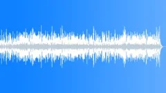 Acoustic Effective Music for Elegant Online Independent Films Stock Music
