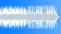 The Acoustic Folk (24 sec version)Stock Music