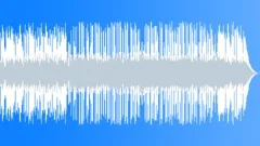 The Acoustic Folk (40 sec version 2)Stock Music