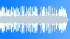 The Acoustic Folk (40 sec version)Stock Music