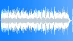 Acoustic Folk Guitar Stock Music