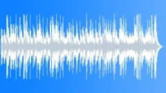 Acoustic Guitar 20 Stock Music