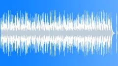 Acoustic Guitar 39 Stock Music