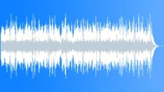 Acoustic Guitar 48 Stock Music