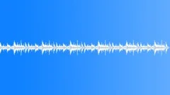 Acoustic Guitar Ambiance Stock Music