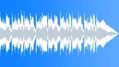 Acoustic Guitar - Birds (15 sec) Stock Music
