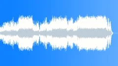 Acoustic Guitar: Bliss Stock Music