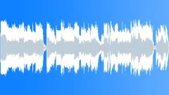 Acoustic Guitar Blues (15 sec)Stock Music