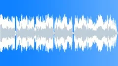 Acoustic Guitar Blues (30 sec)Stock Music