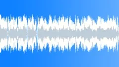 Acoustic Guitar Blues (60 sec)Stock Music