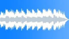 Acoustic guitarStock Music
