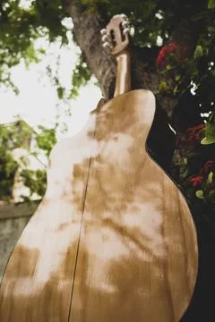 Acoustic guitar resting on tree seen from behind from the ground Stock Photos