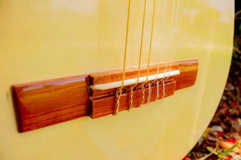 Acoustic guitar string bridge close up Stock Photos