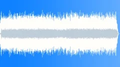 Acoustic Happy Country - Upbeat Folk Guitar Stock Music
