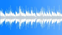 Acoustic Indie Soft Rock Folk Calm Ambient Guitar Emotions Music- loop intro Stock Music