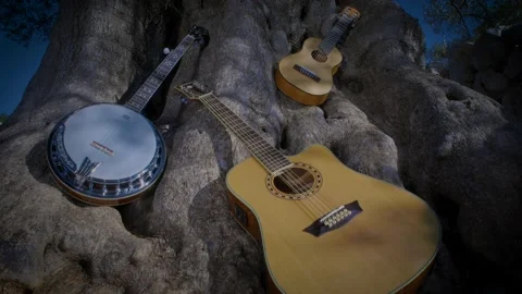 Acoustic instruments on olive tree Stock Footage 143186481