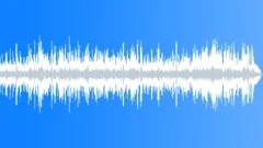 Acoustic Latin Music for Intense Streamed TV DIY ProgramsStock Music