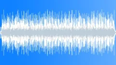 Acoustic lite rock sunny Stock Music